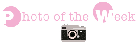 PhotoOfTheWeek2.jpg