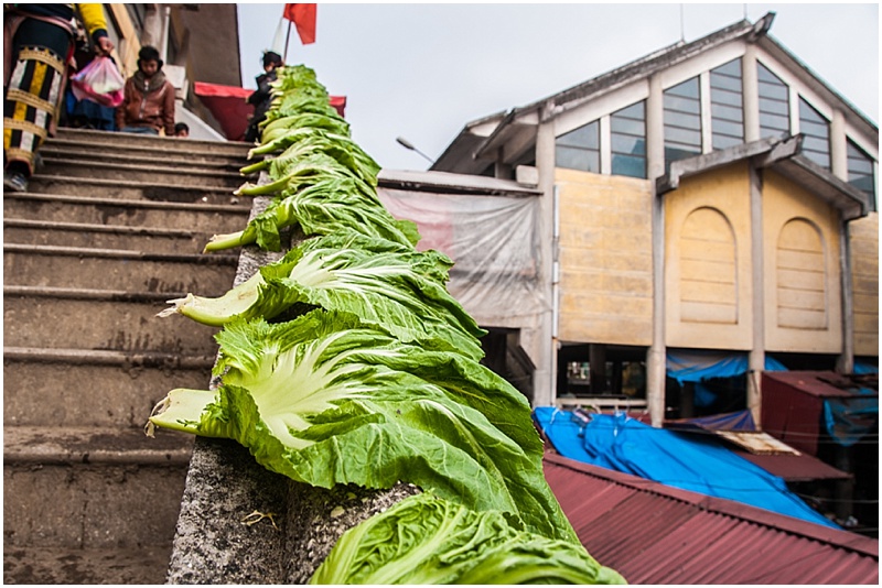 CGSPhotographyVietnamJan'14_0060.jpg