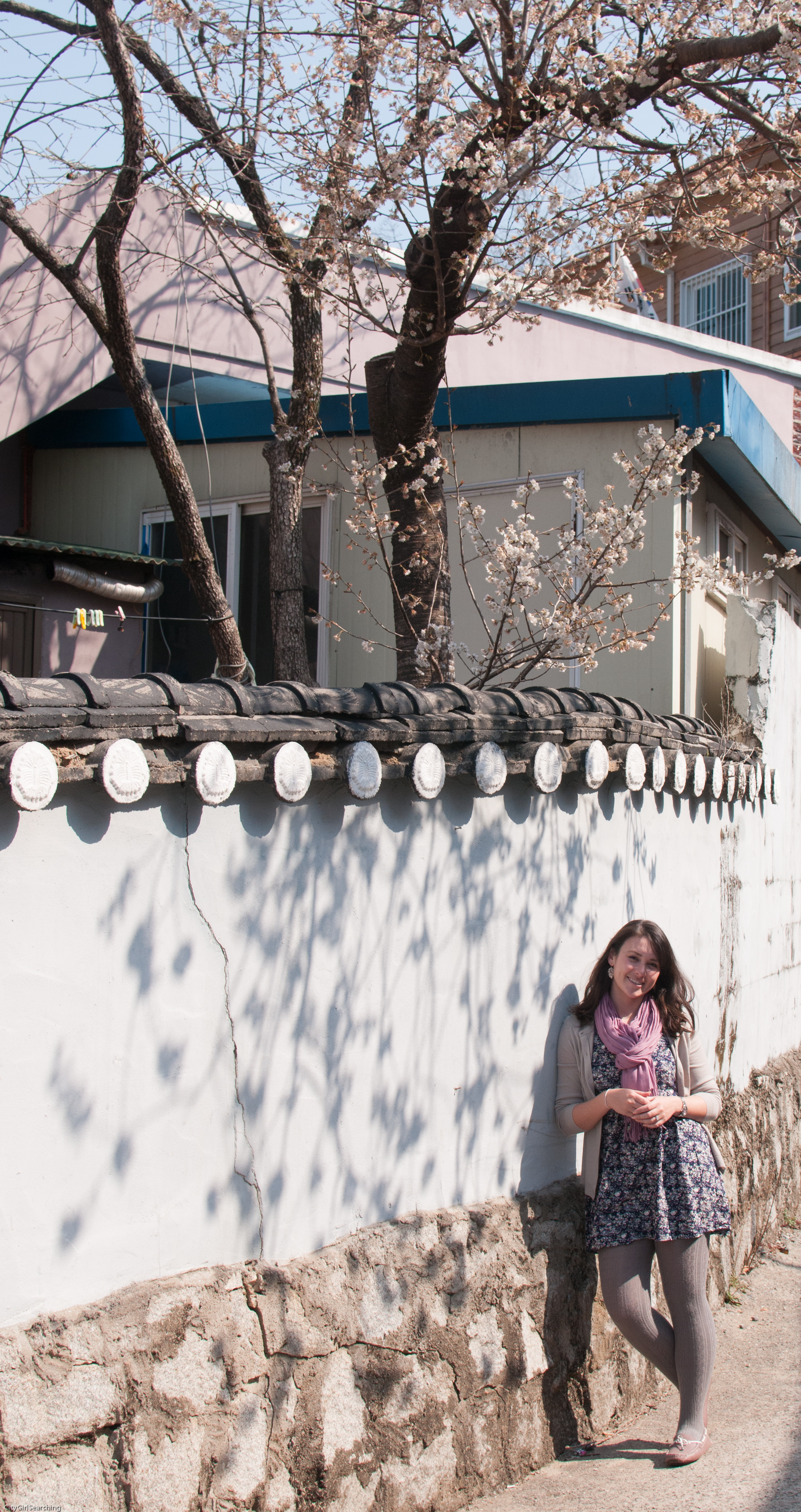 SouthKoreaCherryBlossomsMaewhaFestivalCityGirlSearching (10 of 22).jpg