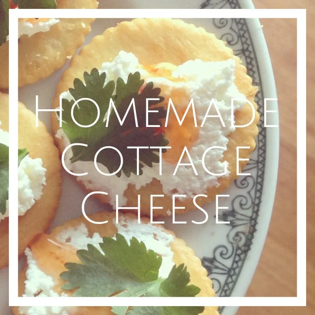 How To Make Your Own Cottage Cheese Recipe Citygirlsearching