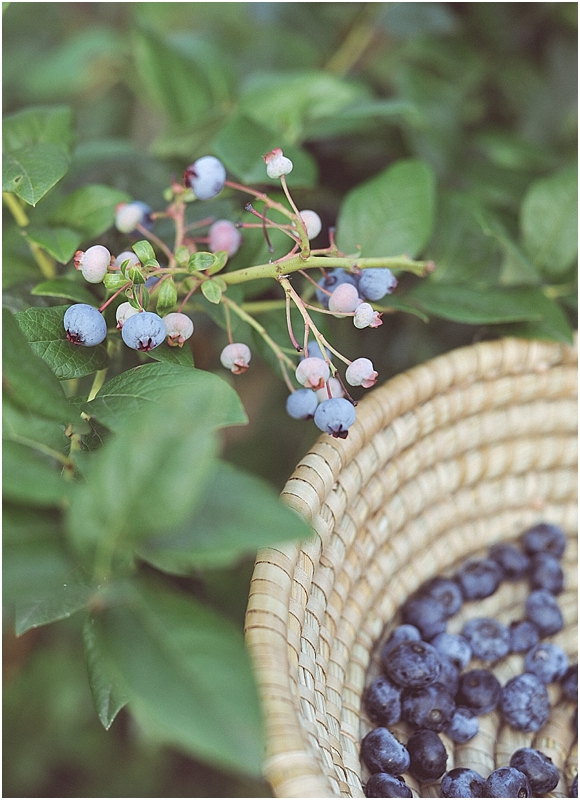 BlueberryPickingStyledShootCityGirlSearchingSouthKorea_0022.jpg