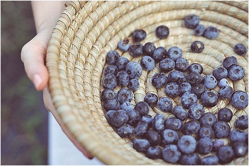 BlueberryPickingStyledShootCityGirlSearchingSouthKorea_0027.jpg