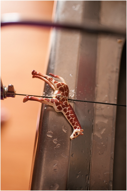 DIYGoldAnimalFridgeMagnetsCityGirlSearching#DIYDaysInKorea_0011.jpg