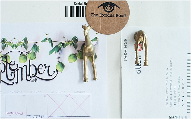 DIYGoldAnimalFridgeMagnetsCityGirlSearching#DIYDaysInKorea_0024.jpg