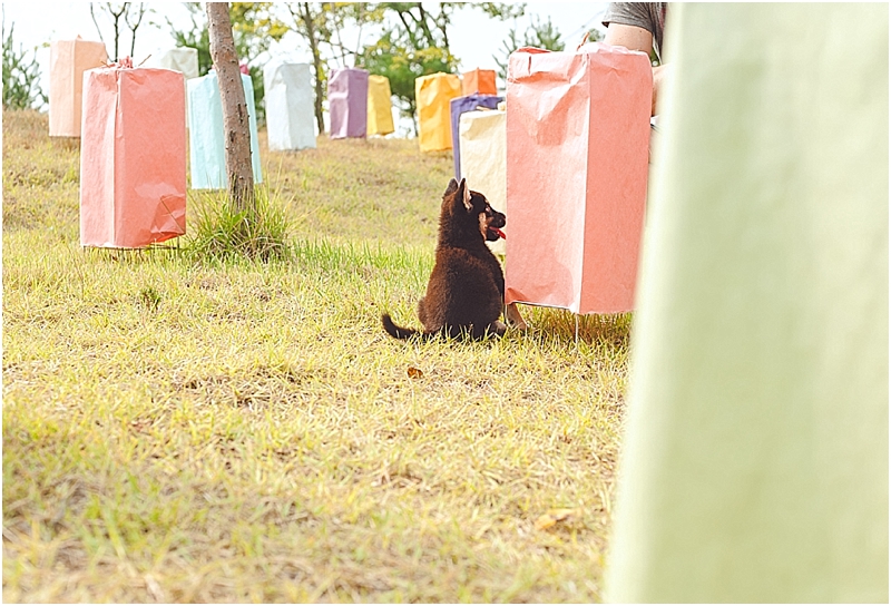 WonjuHanjiPaperFestival_0012.jpg