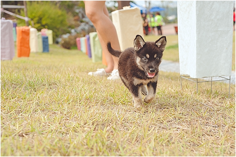 WonjuHanjiPaperFestival_0013.jpg