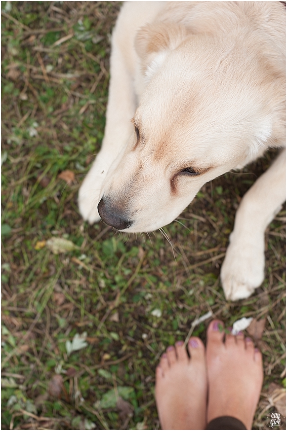 ShadowNamiPuppyinKorea_0028.jpg
