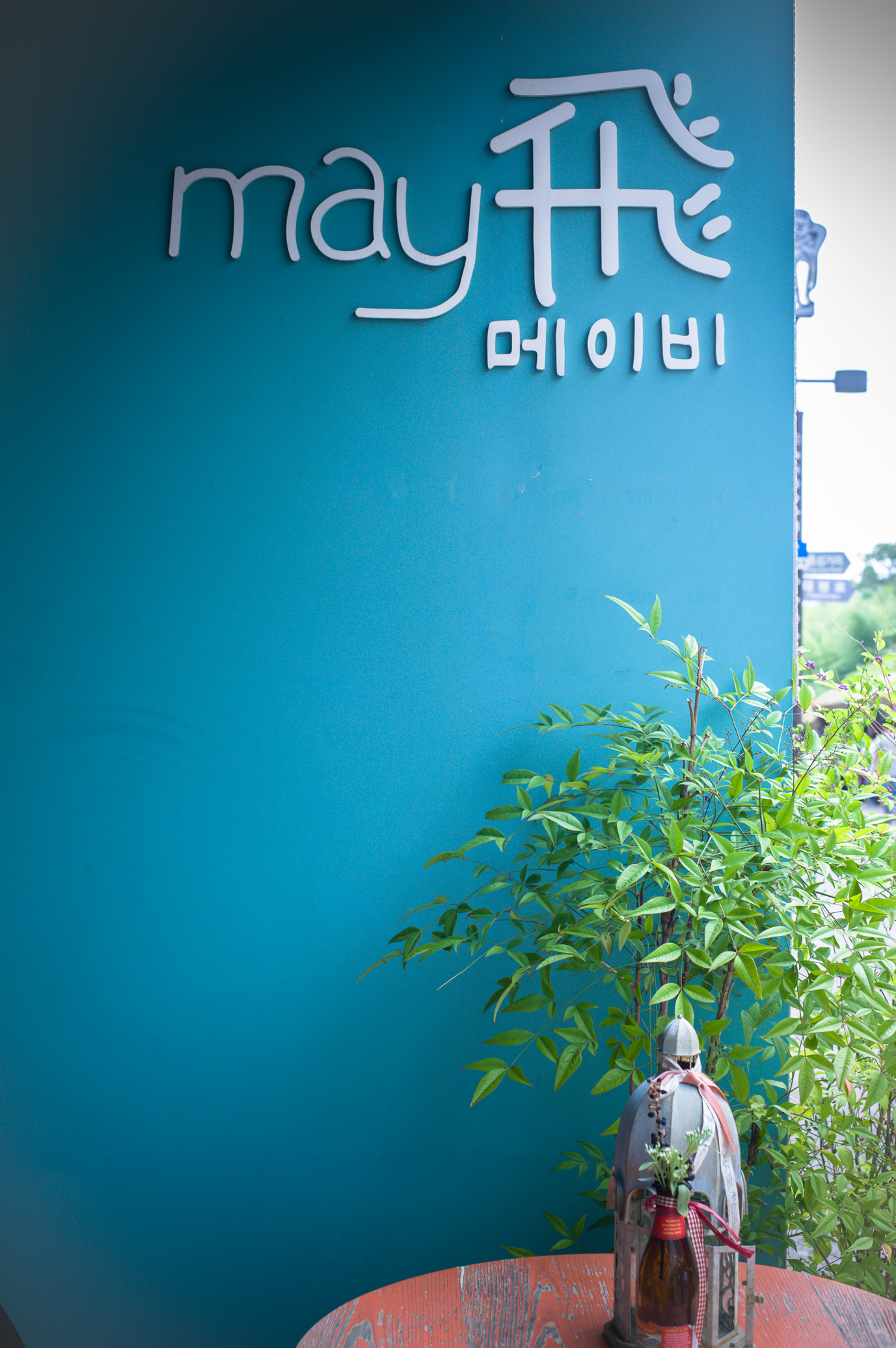 JejuIslandSouthKoreaChuseokTravel (53 of 82).jpg