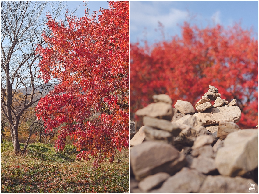AutumnInKorea_0002.jpg