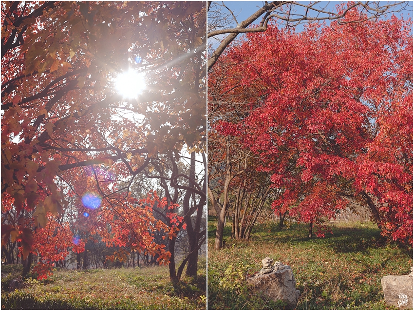 AutumnInKorea_0006.jpg