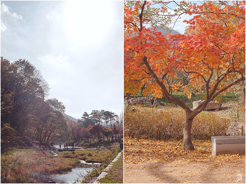 AutumnInKorea_0007.jpg