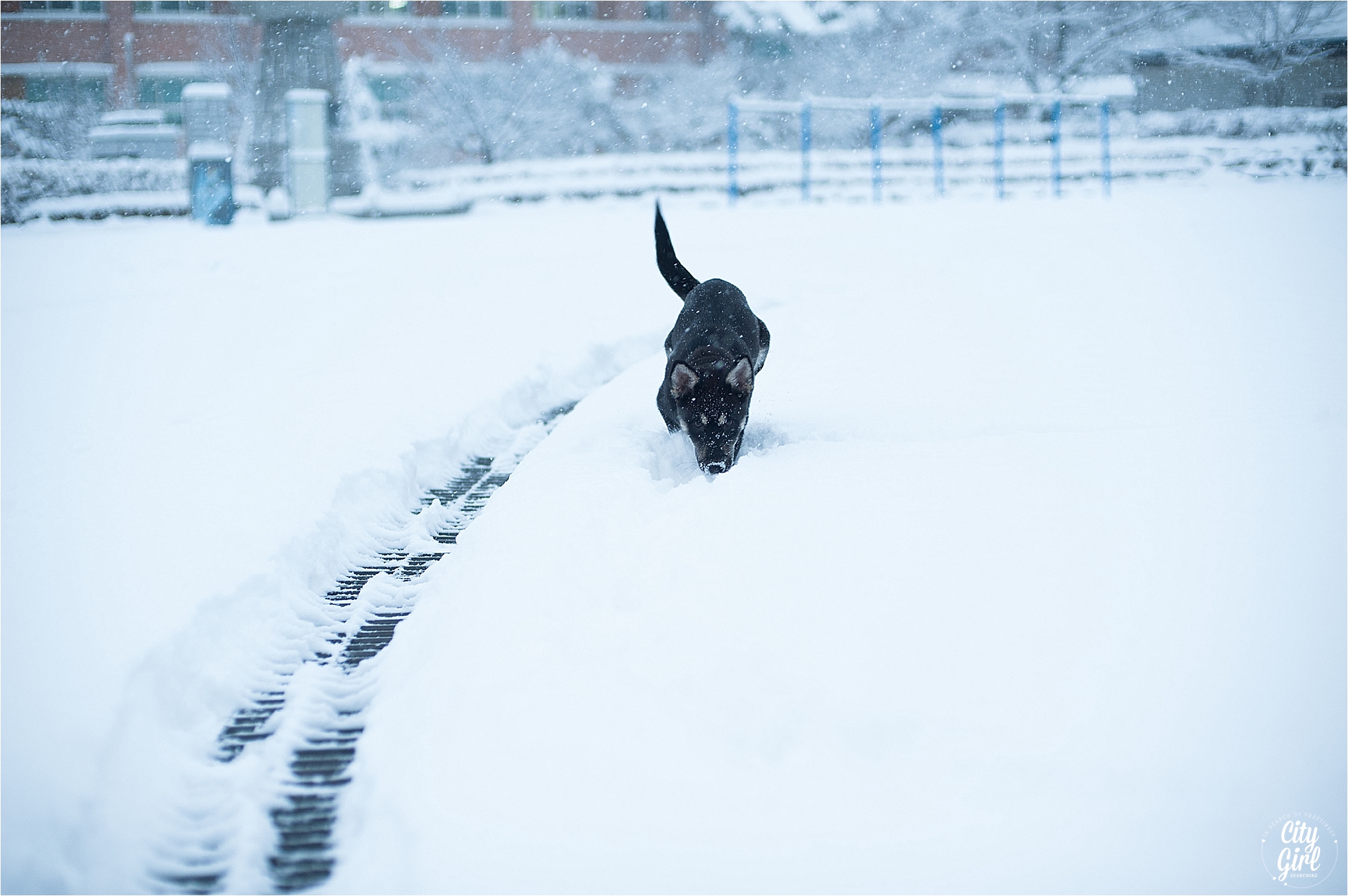 SnowInKorea_0005.jpg