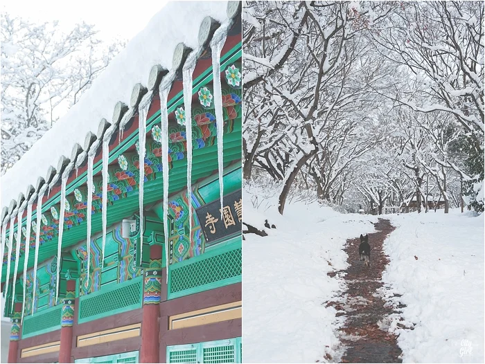 SnowInKorea_0003.jpg