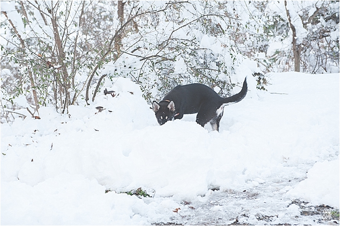 SnowInKorea_0010.jpg