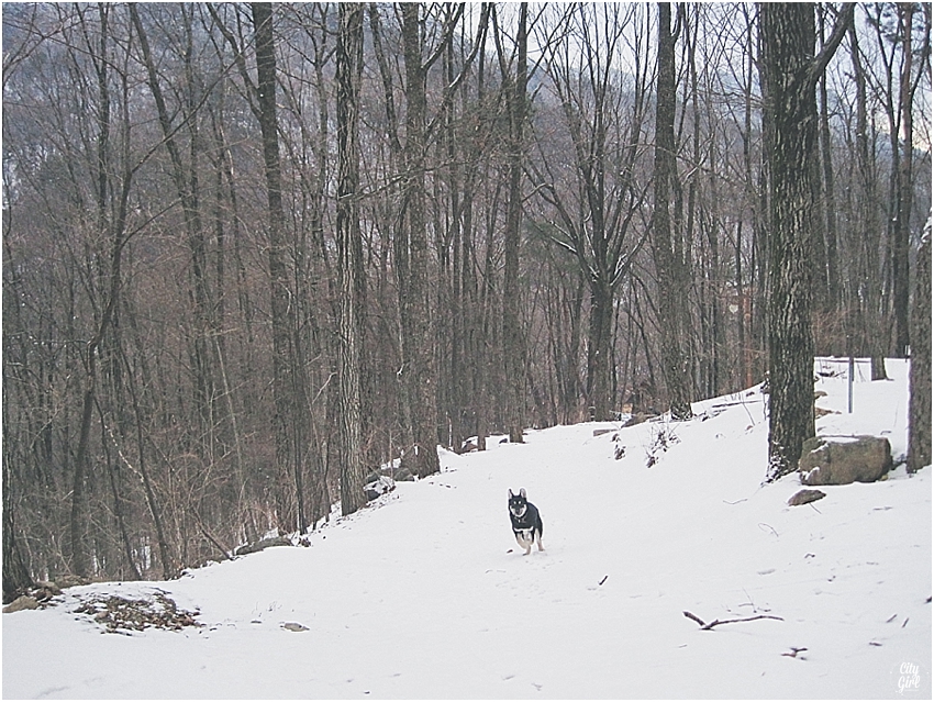 SkiingMujuSouthKoreaCampingInSnow_0016.jpg