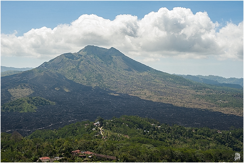 BaliTemplesUbud_0015.jpg