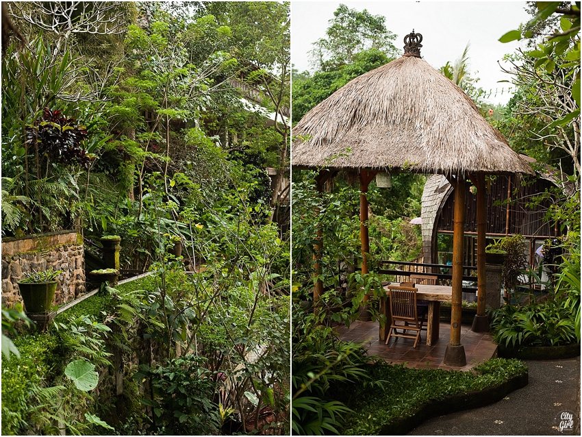 VolcanoTourRicePaddyBali_0010.jpg