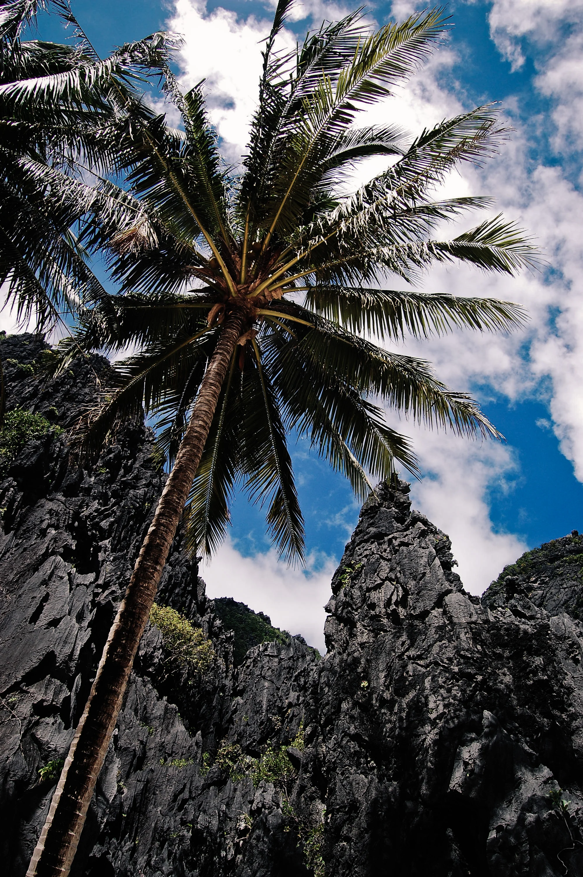 PhilippinesHoliday (32 of 50).jpg