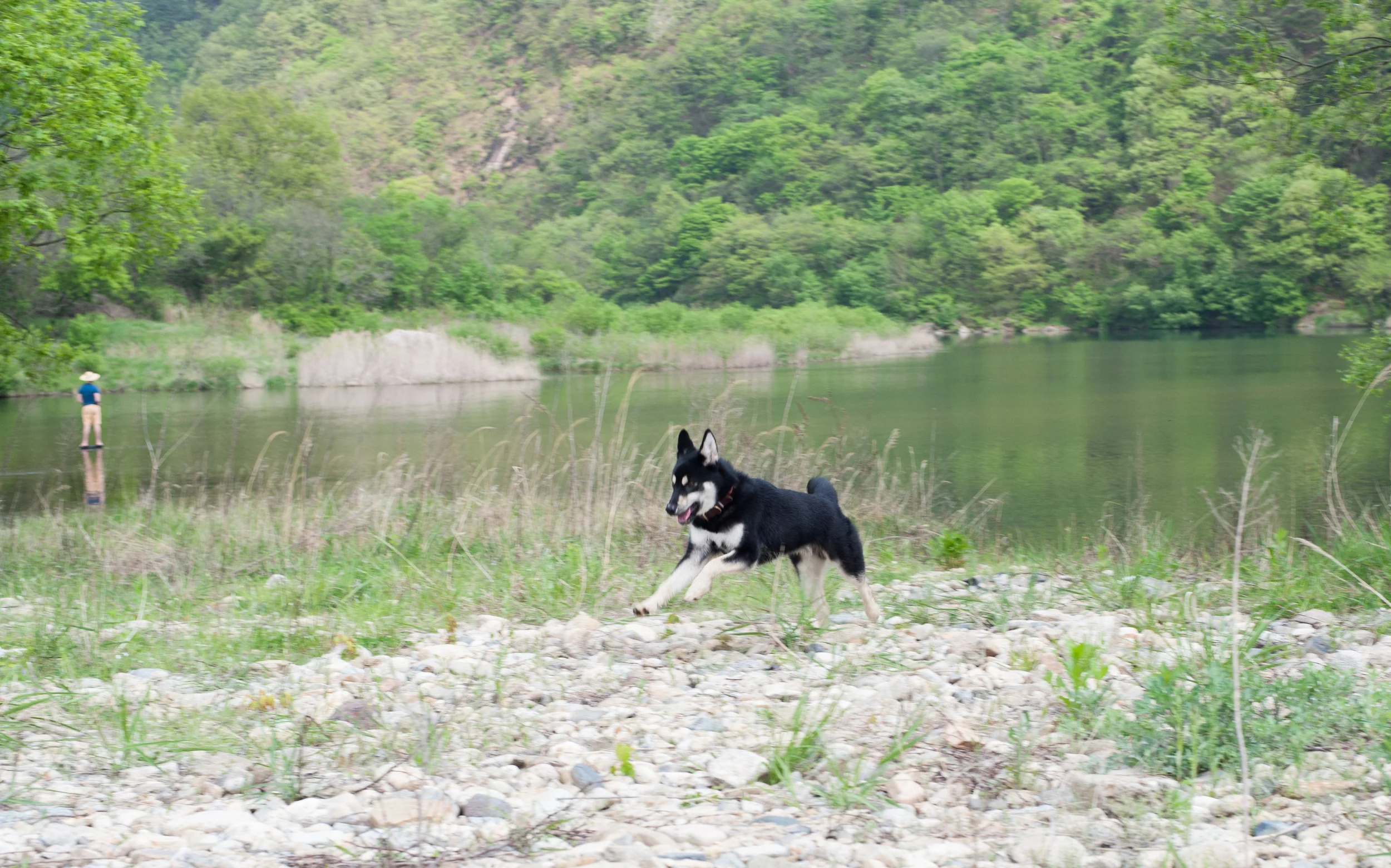 Camping in Yongdam... click here to read more.