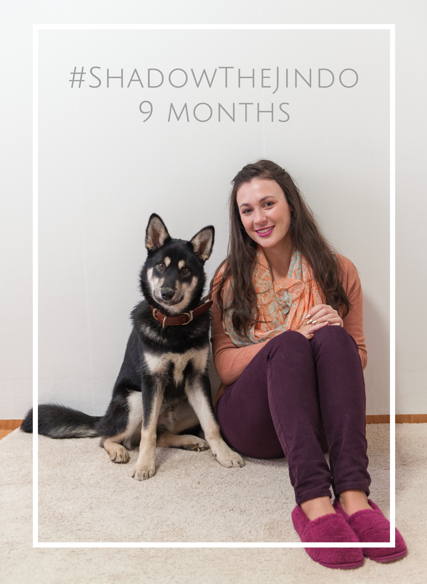 ShadowTheJindo9Months.png