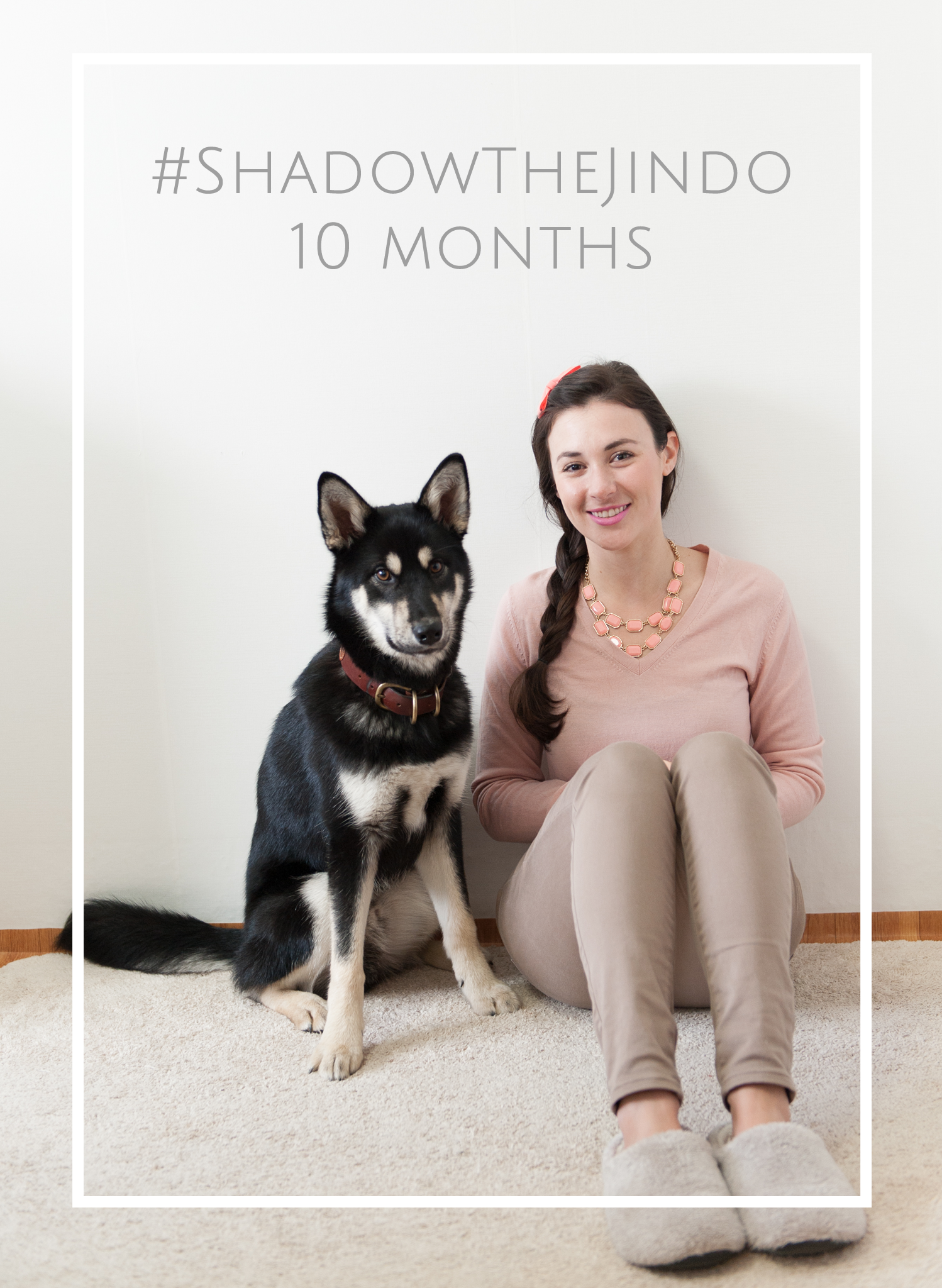 ShadowTheJindo10Months.png