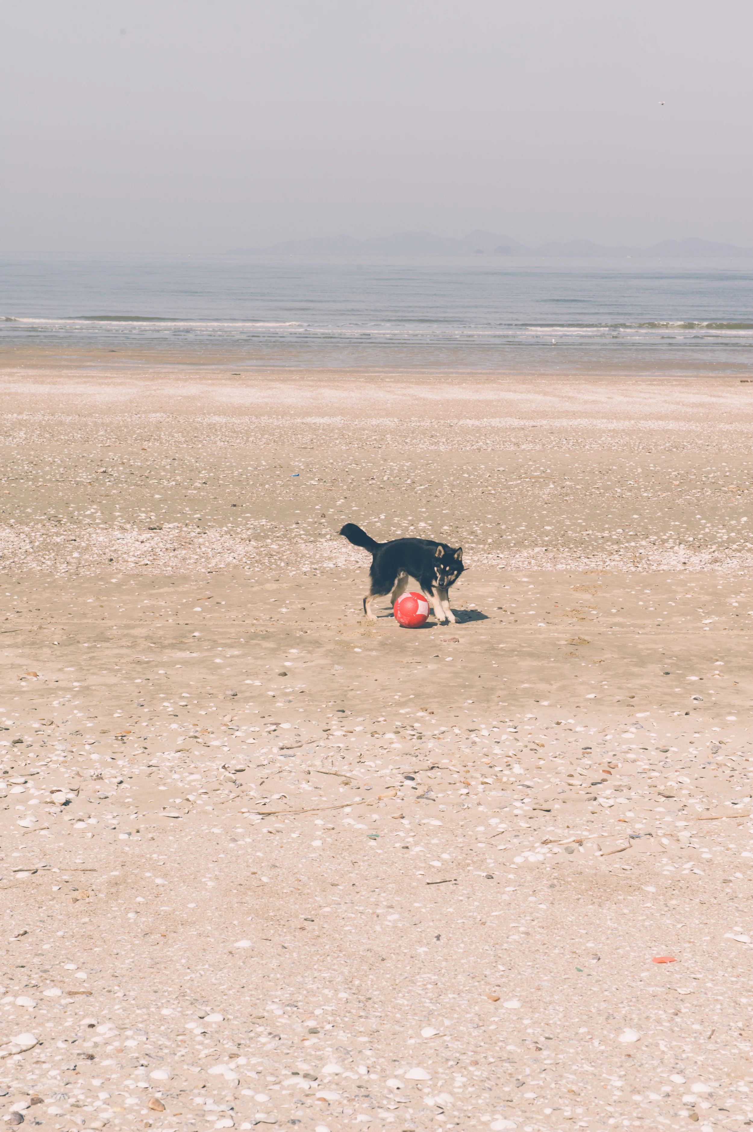 South West Coast Beaches in South Korea