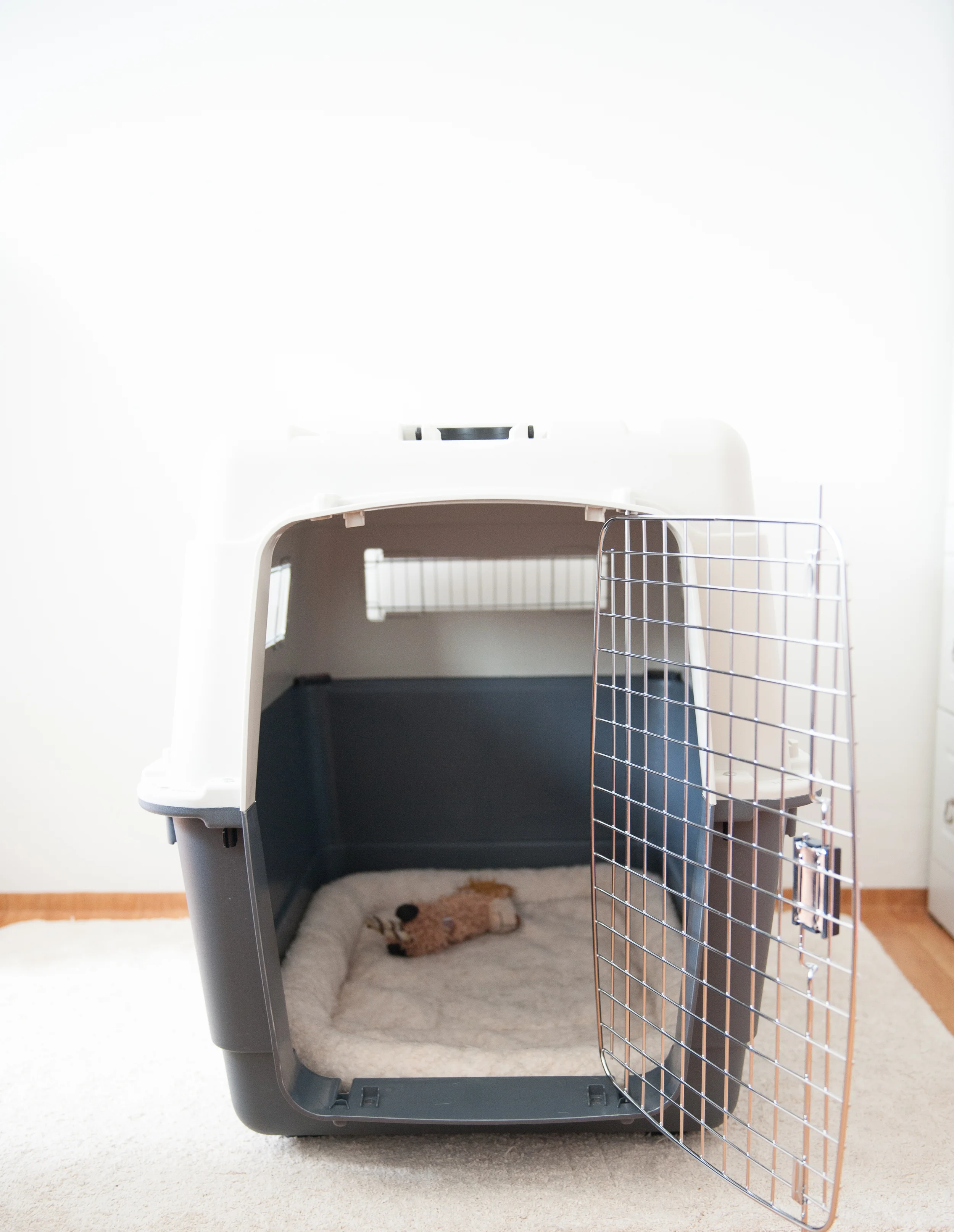 Crate TRaining & How to choose an airline approved crate for