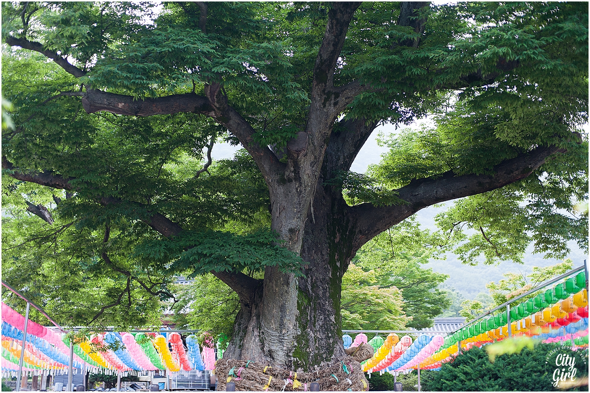 NaesosaKoreanTempleStay_0034.jpg