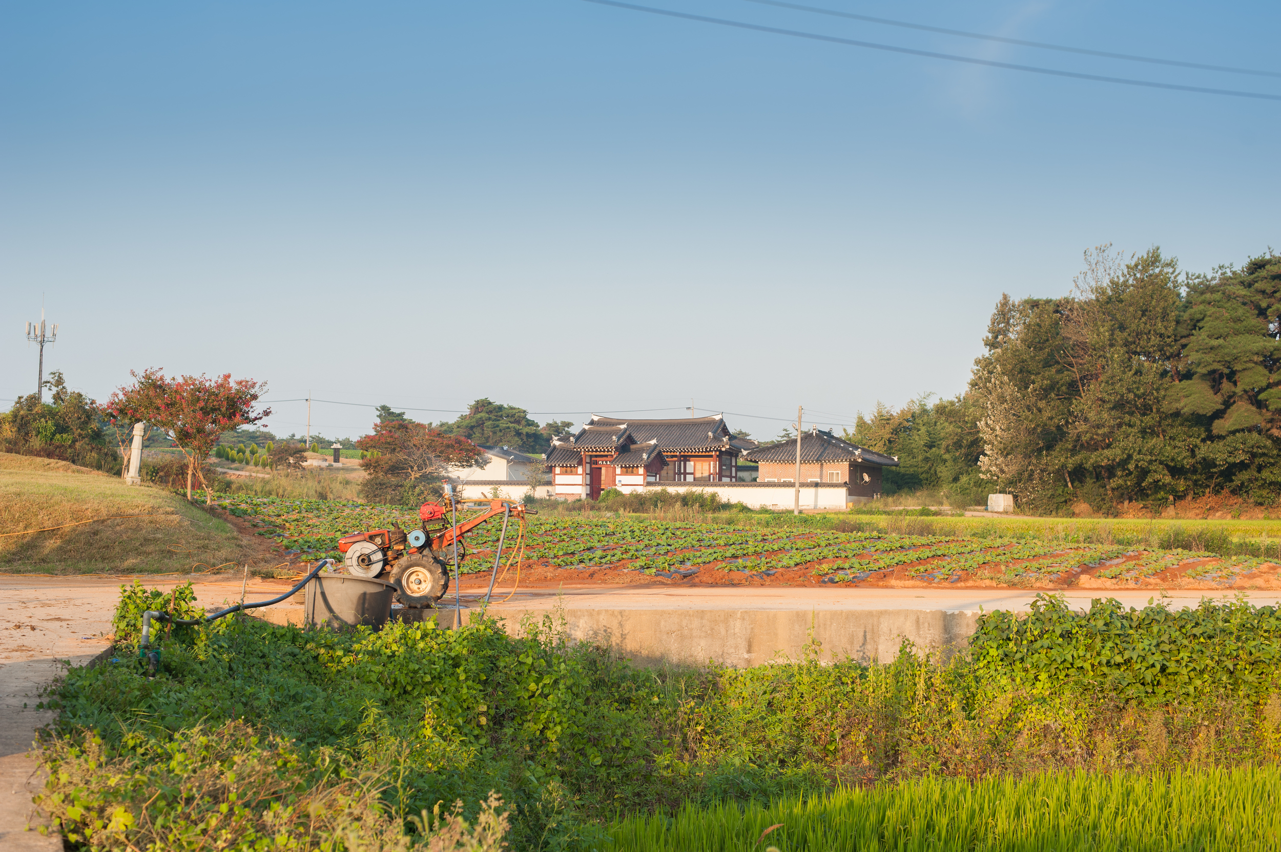Buan Rural Town South Korea (4 of 47).jpg