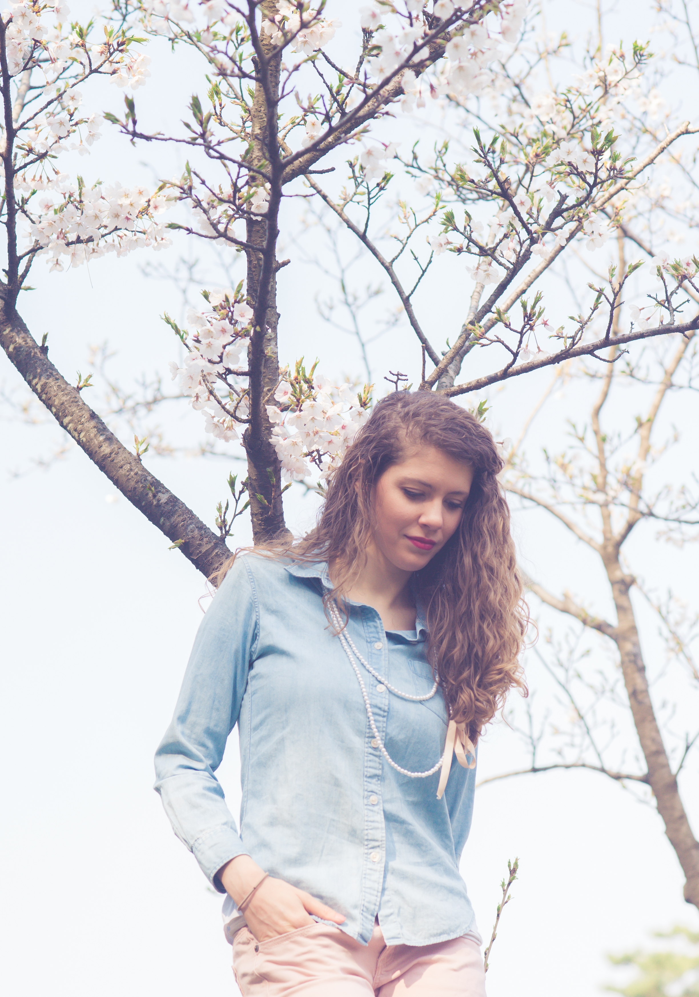 CherryBlossomStyledShootKoreaAlyshaCGSPhotography (14 of 57).jpg