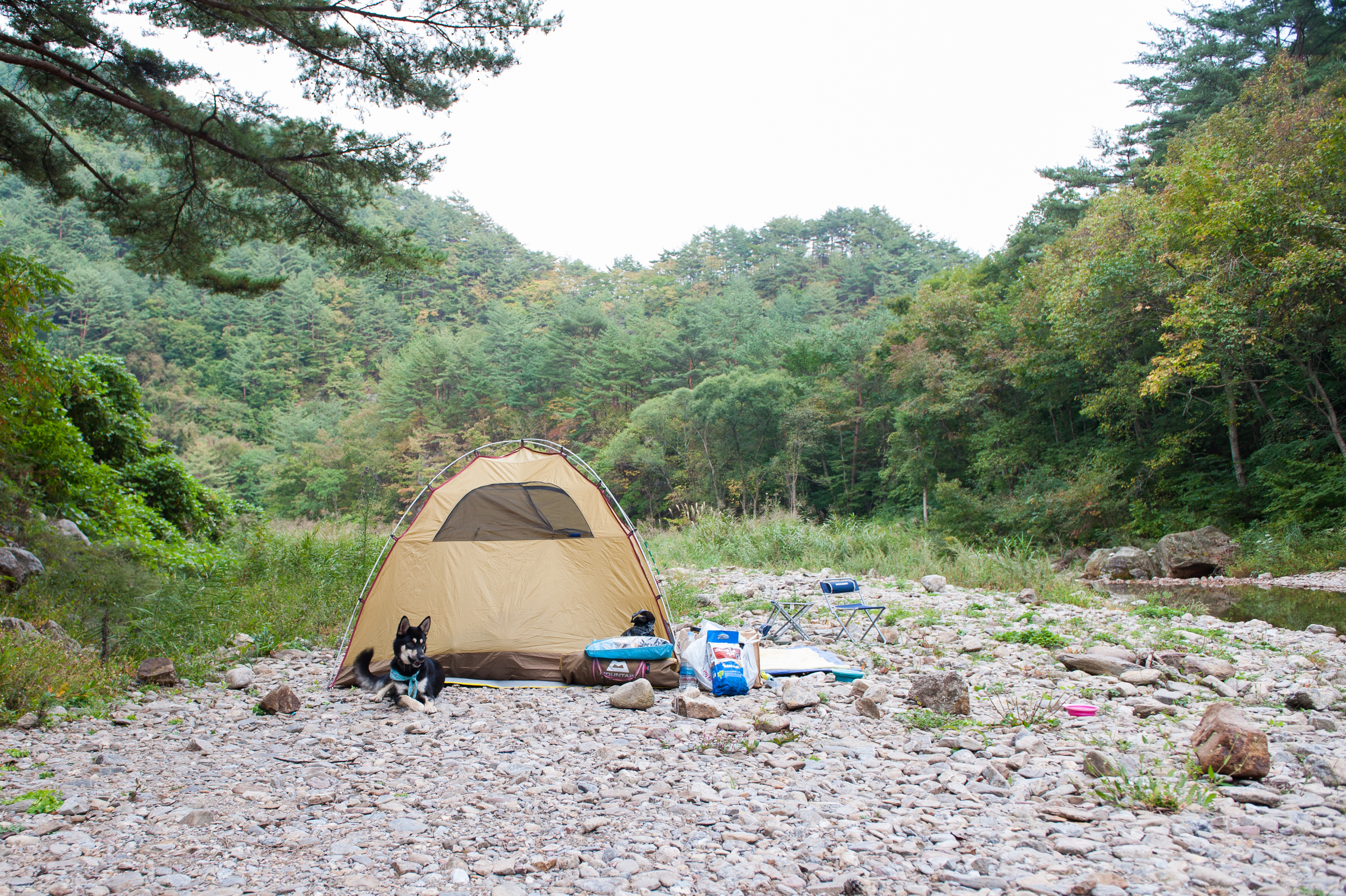 Camping in Korea Chuseok Gangwon Province (21 of 135).jpg