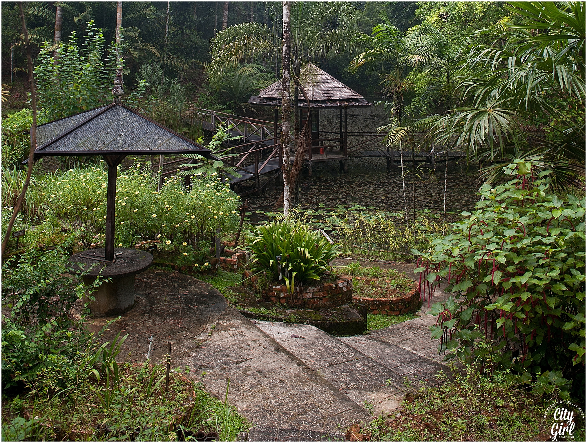 Semenggoh Orangutan Nature Reserve_0104.jpg