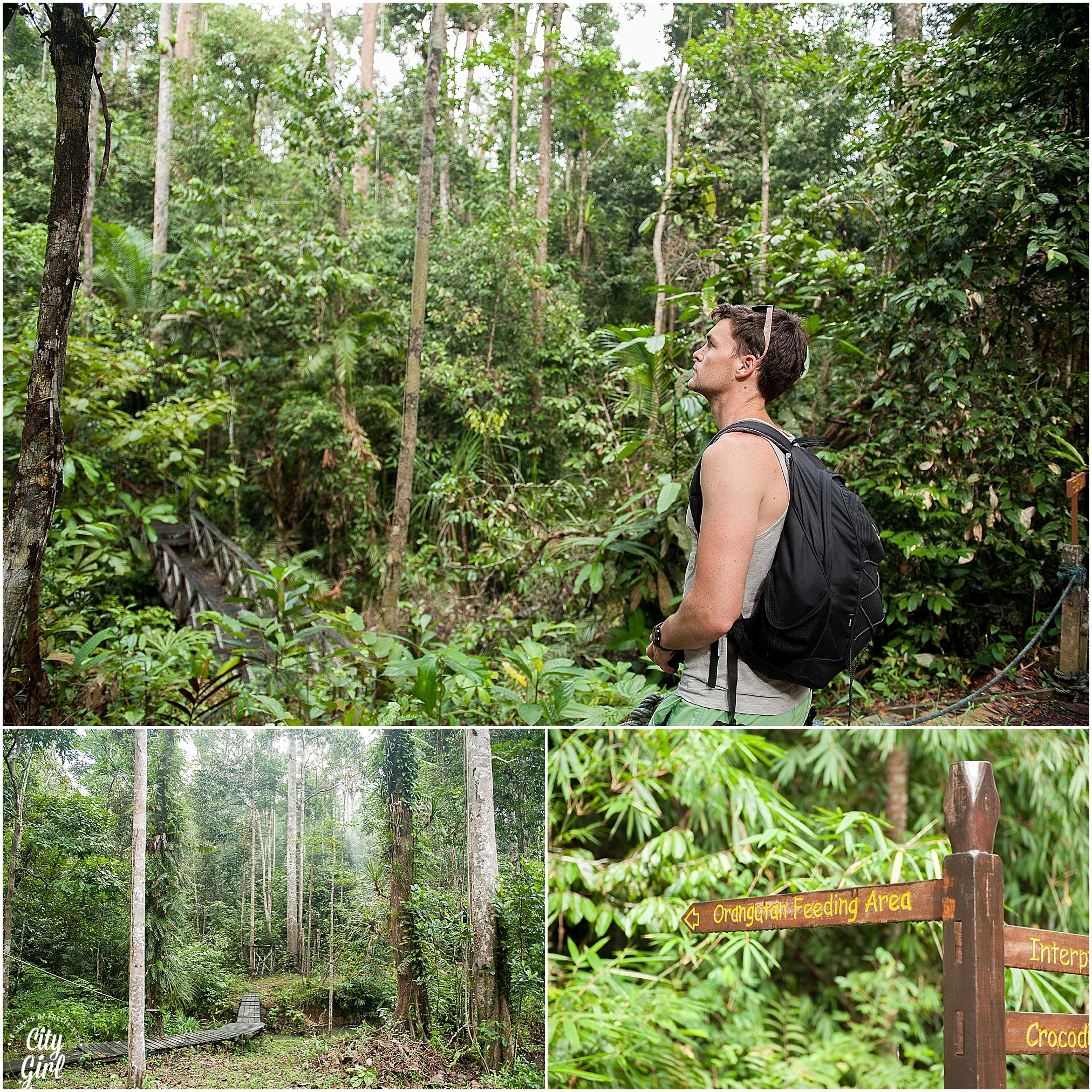 Semenggoh Orangutan Nature Reserve_0106.jpg