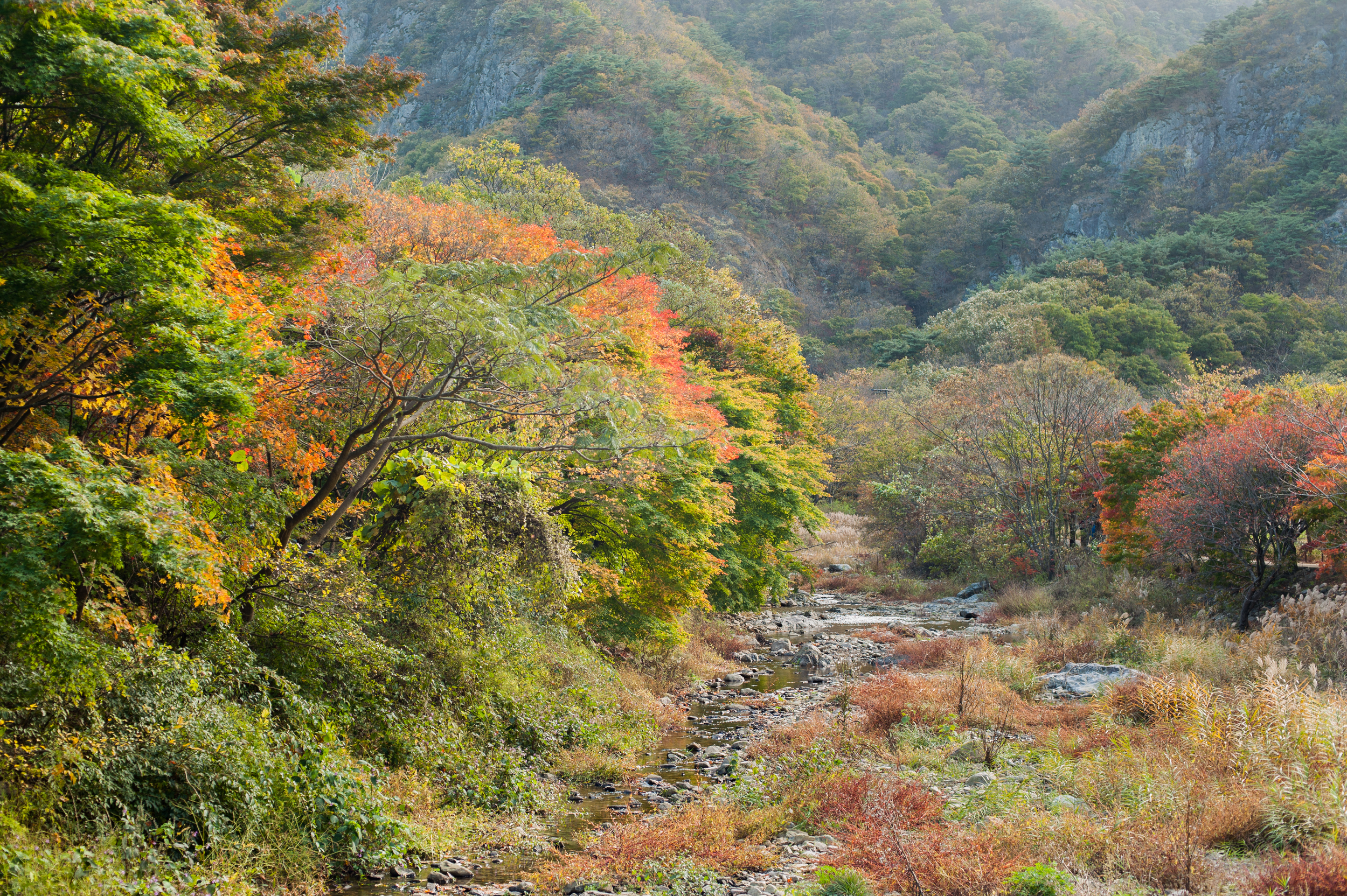 Naejangsan Autumn Fall Leaves Colours South Korea CityGirlSearching Photography (6 of 72).jpg