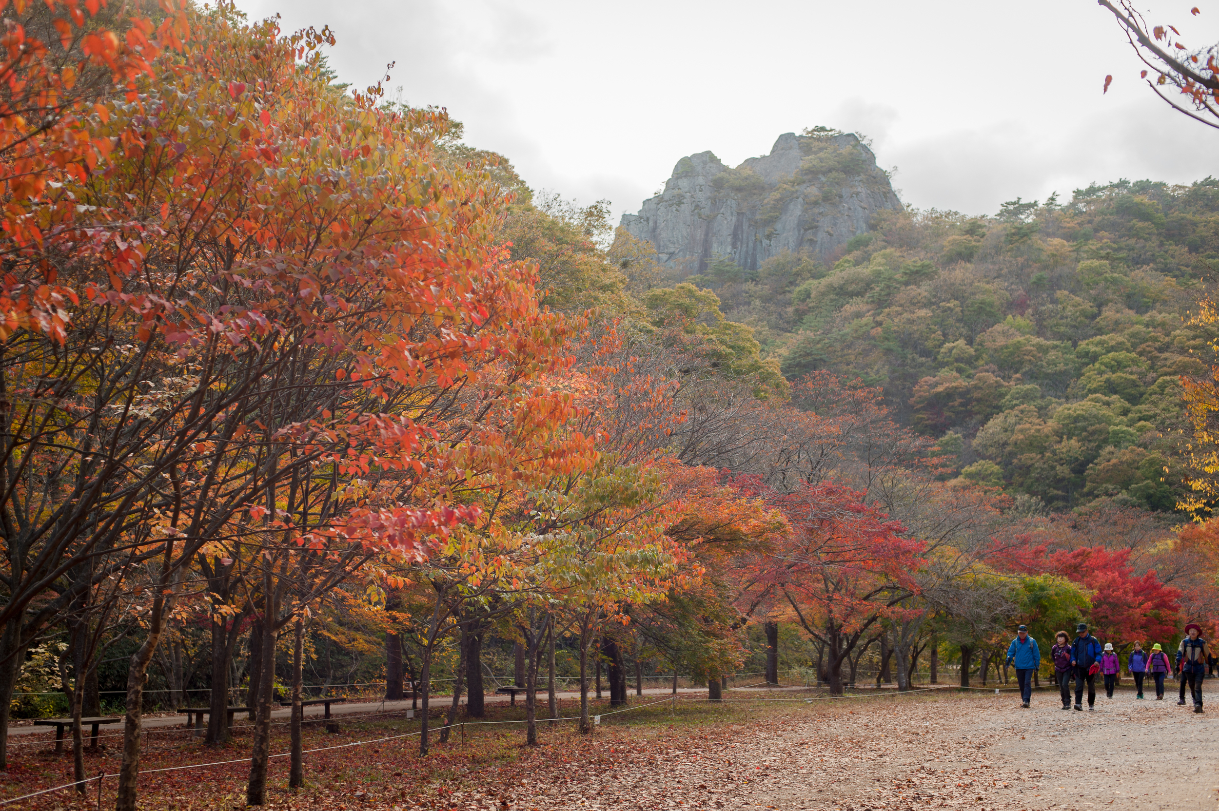 Naejangsan Autumn Fall Leaves Colours South Korea CityGirlSearching Photography (10 of 72).jpg