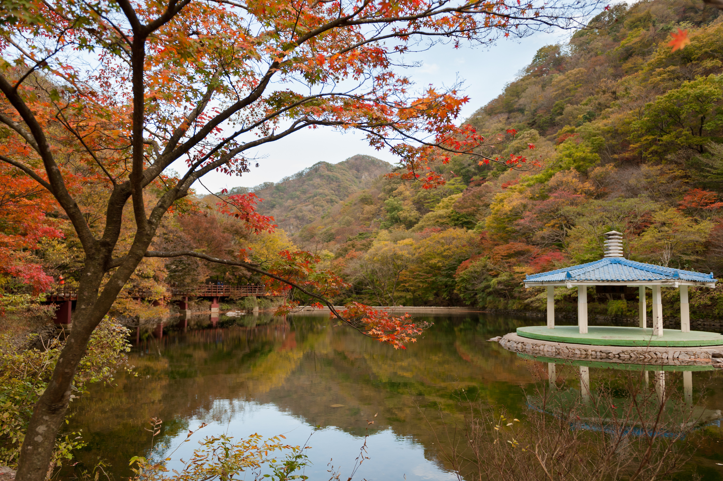 Naejangsan Autumn Fall Leaves Colours South Korea CityGirlSearching Photography (29 of 72).jpg