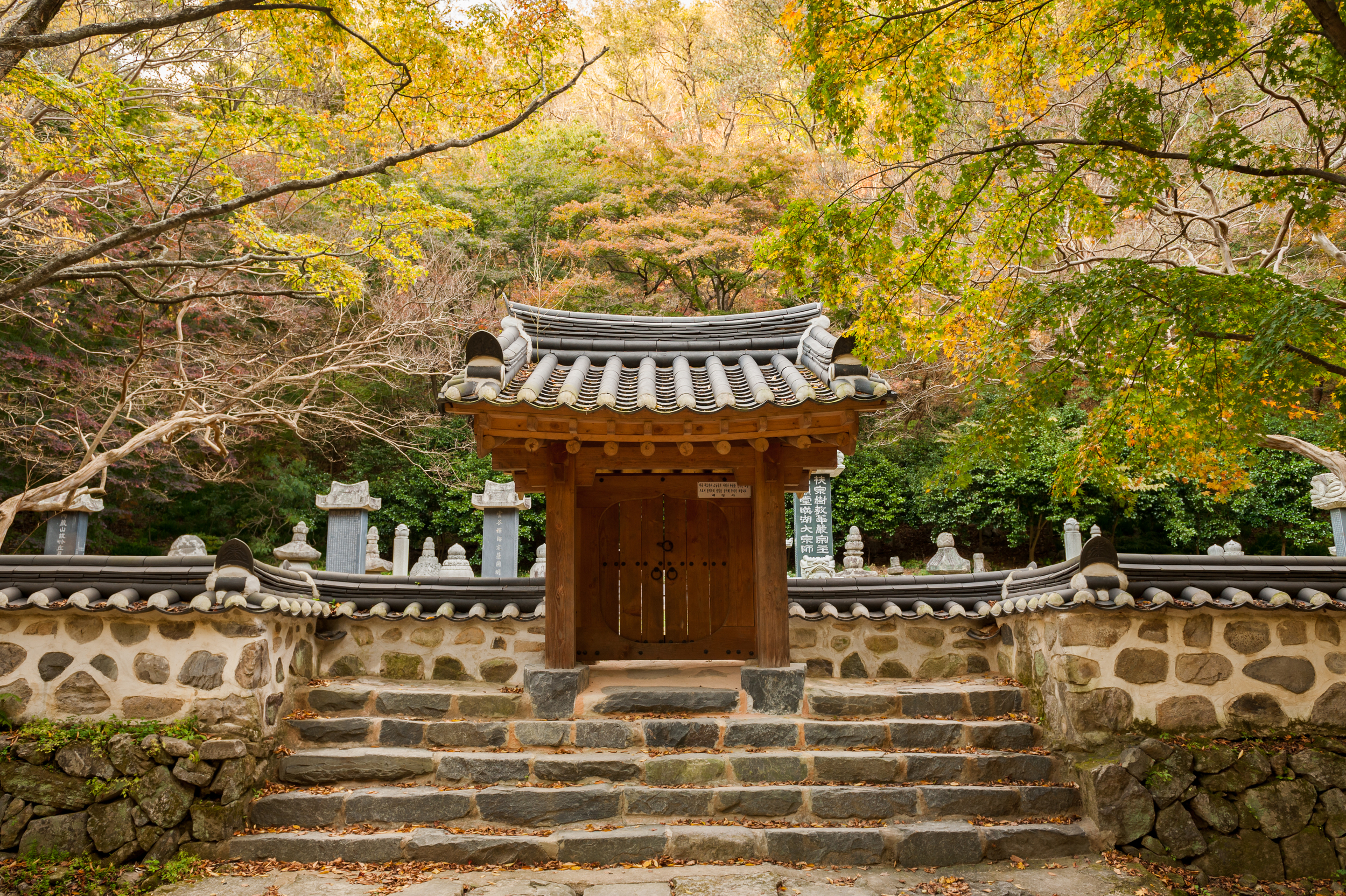 Naejangsan Autumn Fall Leaves Colours South Korea CityGirlSearching Photography (31 of 72).jpg