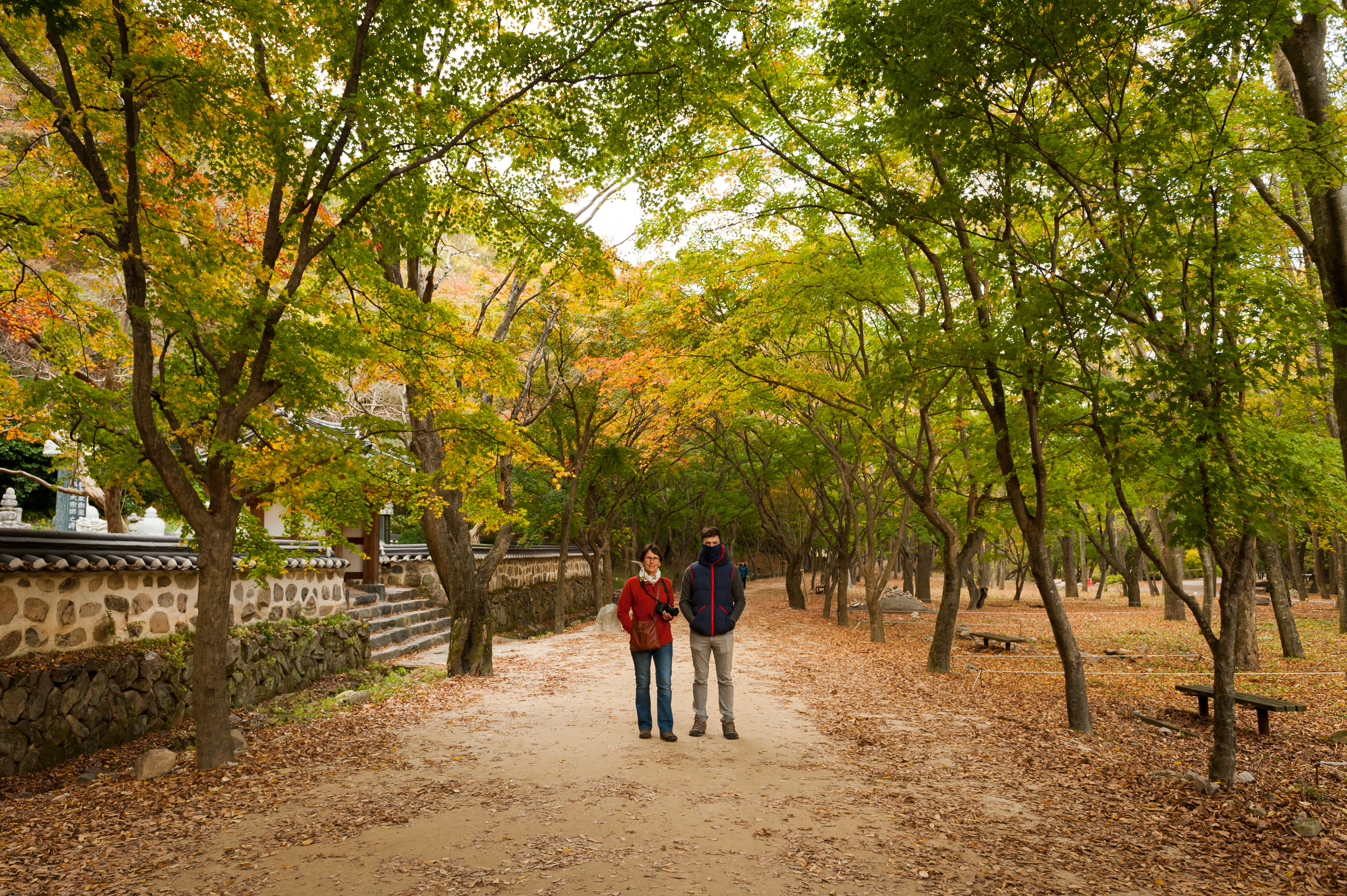 Naejangsan Autumn Fall Leaves Colours South Korea CityGirlSearching Photography (32 of 72).jpg