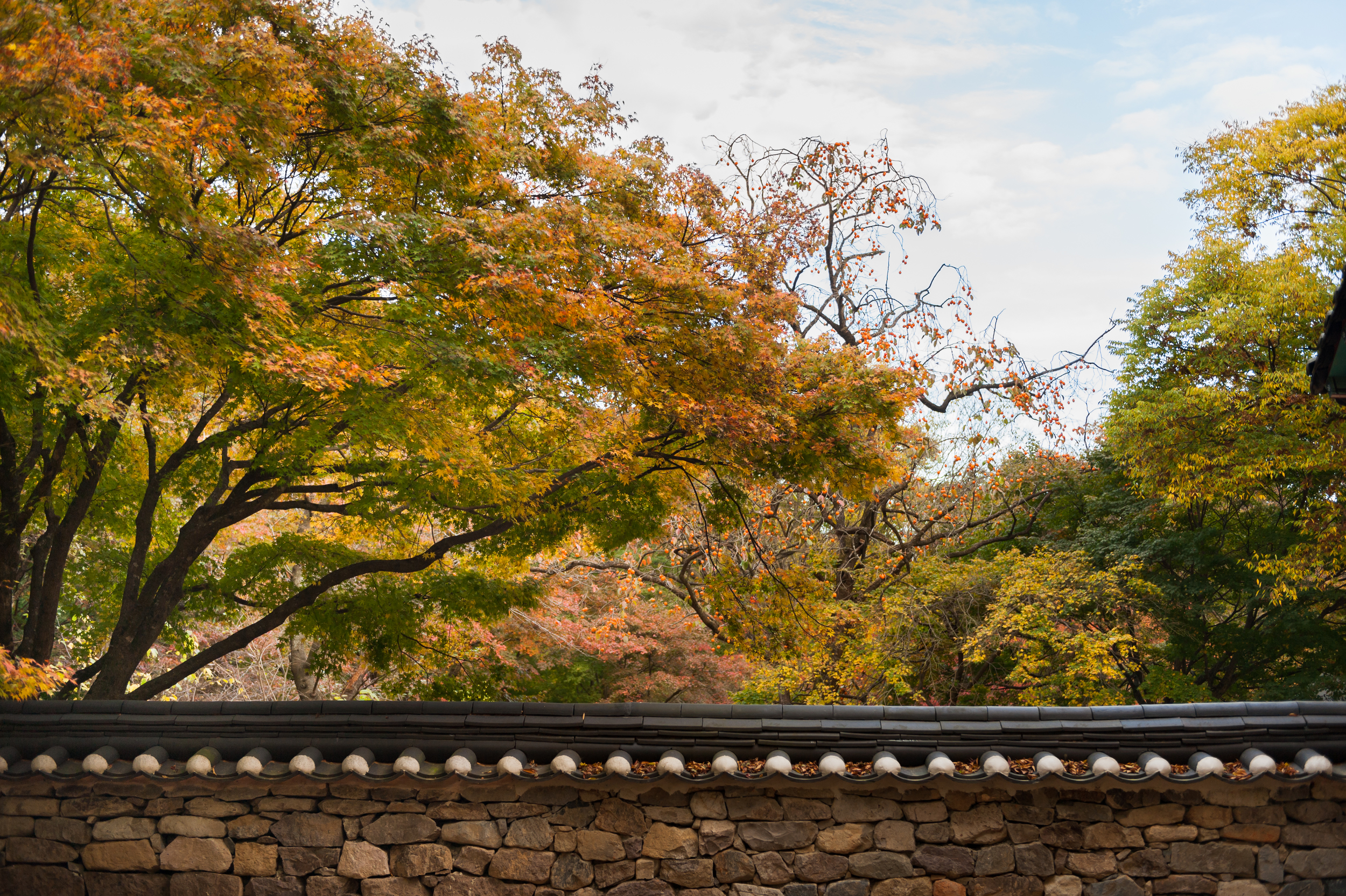 Naejangsan Autumn Fall Leaves Colours South Korea CityGirlSearching Photography (42 of 72).jpg