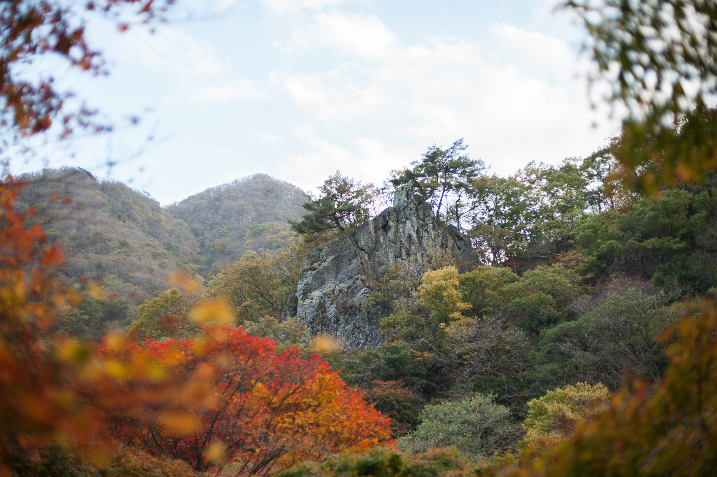 Naejangsan Autumn Fall Leaves Colours South Korea CityGirlSearching Photography (50 of 72).jpg