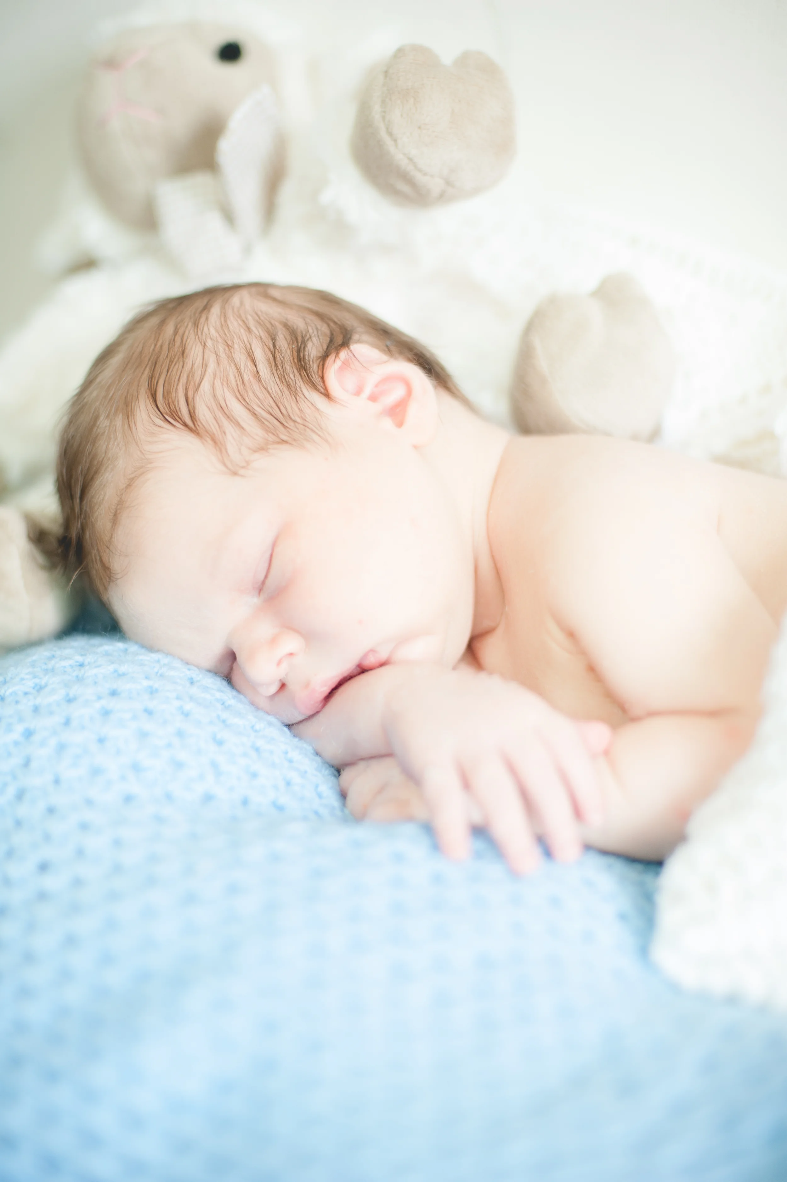 Caleb Bear Honsbein - Newborn Photography in South Korea