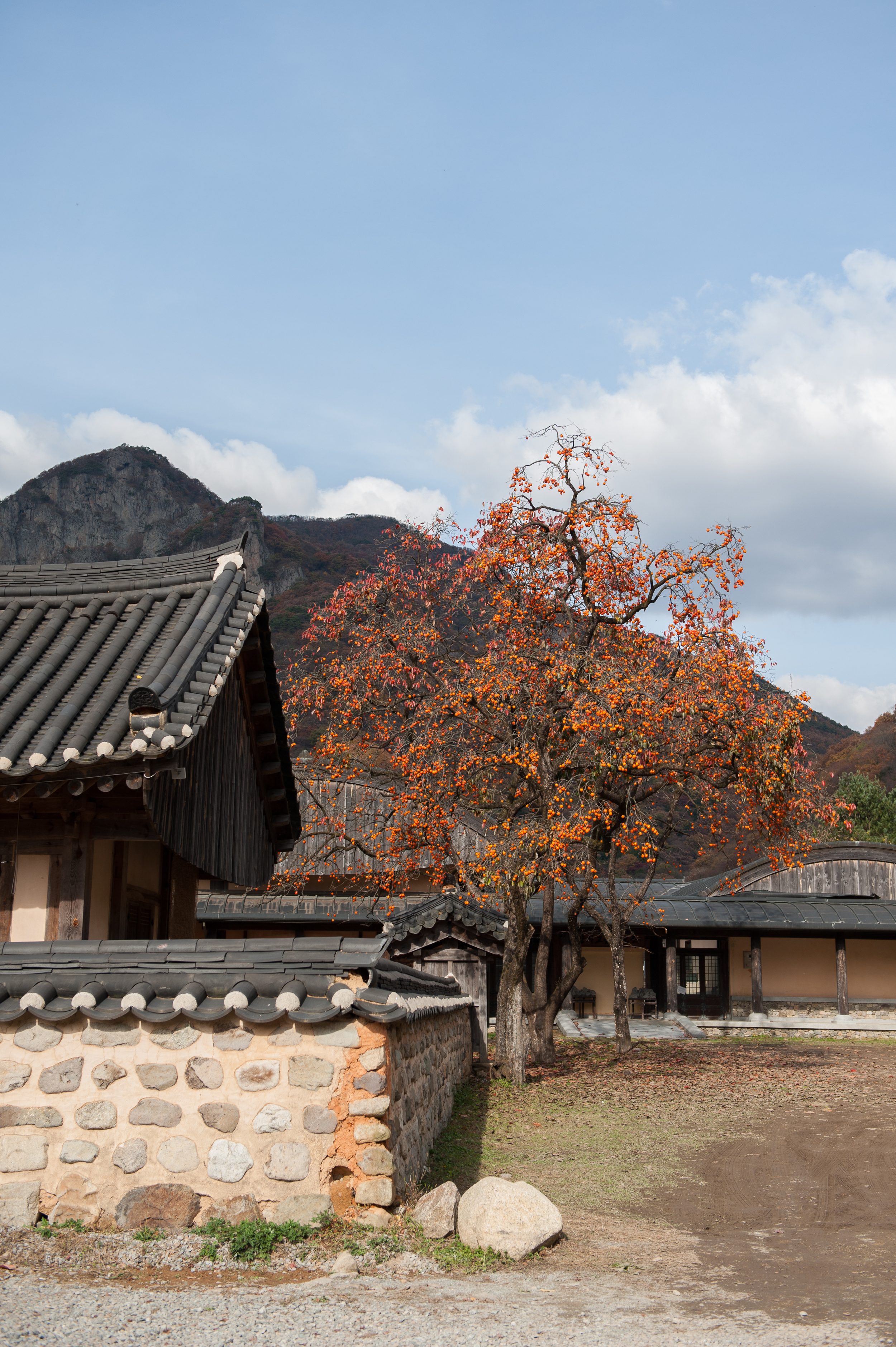 Baegyangsa Temple Naejangsan National Park (29 of 186).jpg