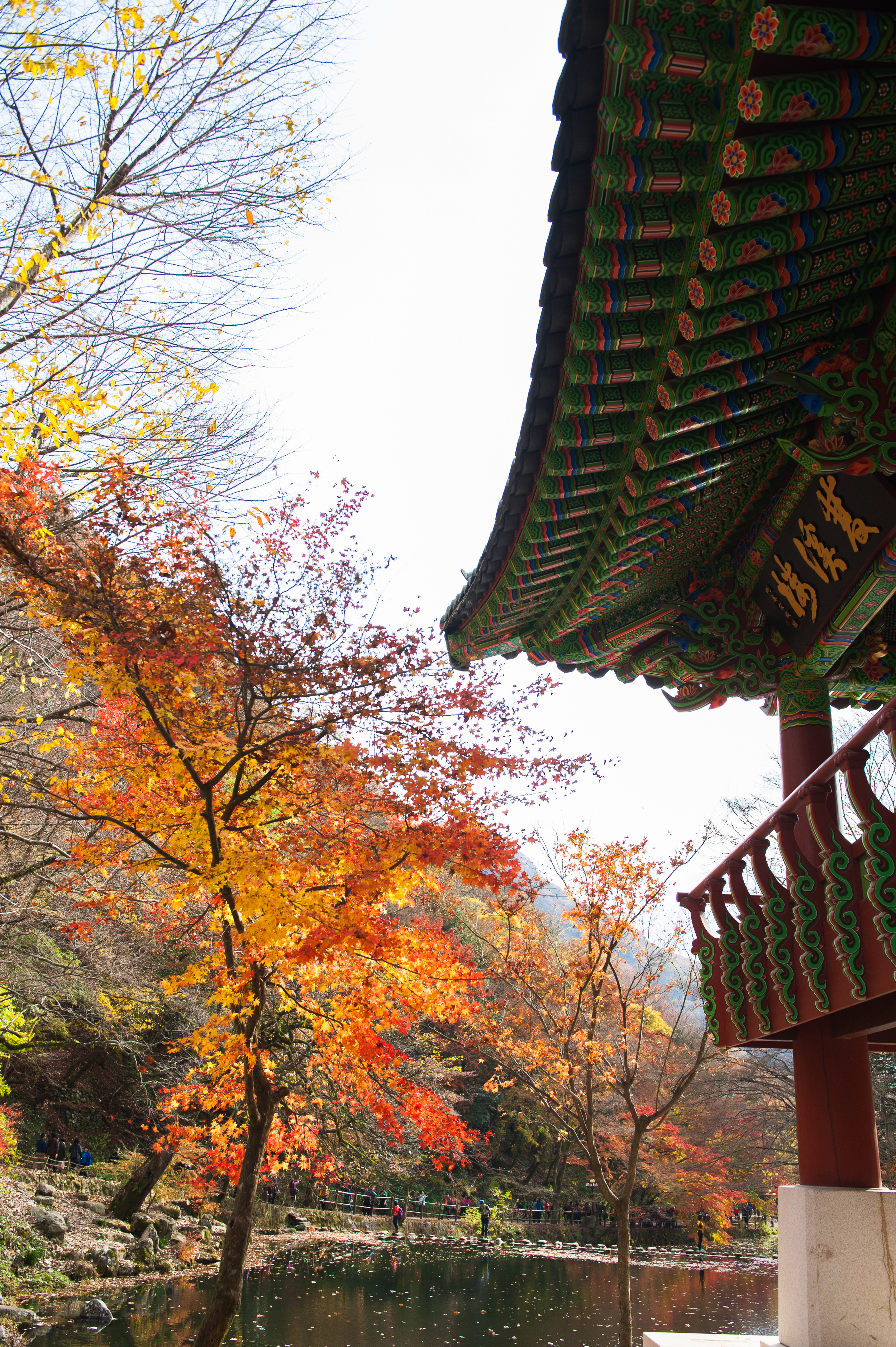 Baegyangsa Temple Naejangsan National Park (114 of 186).jpg