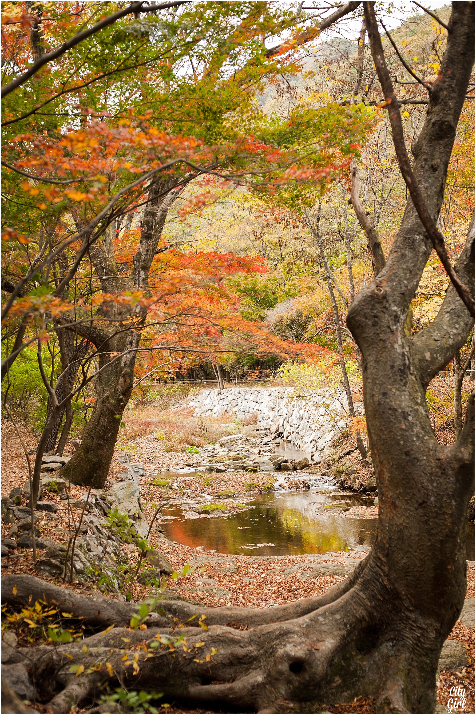 Naejangsan Autumn Fall Leaves Colours South Korea CityGirlSearching Photography (21 of 72).jpg