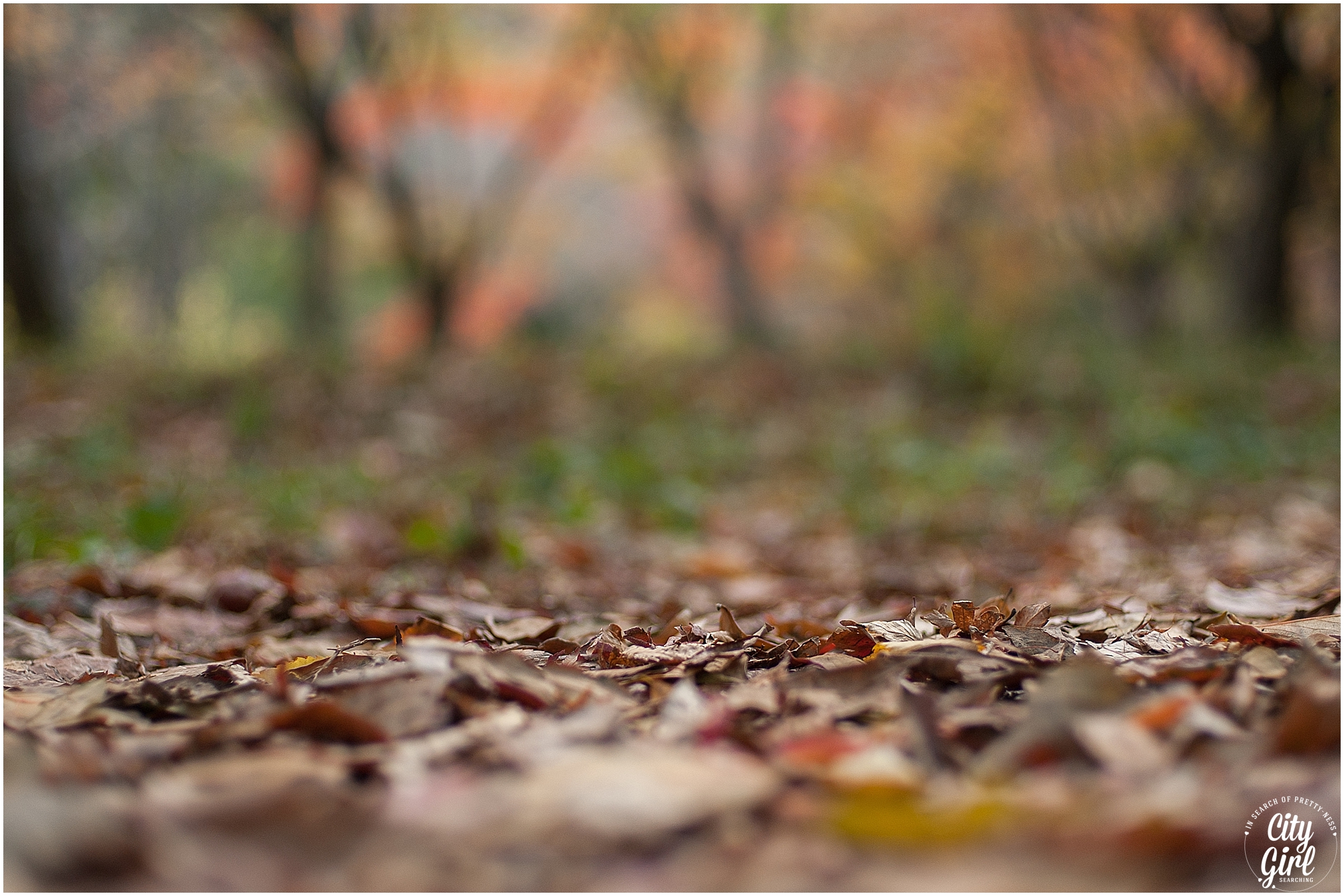 Naejangsan Autumn Fall Leaves Colours South Korea CityGirlSearching Photography (53 of 72).jpg
