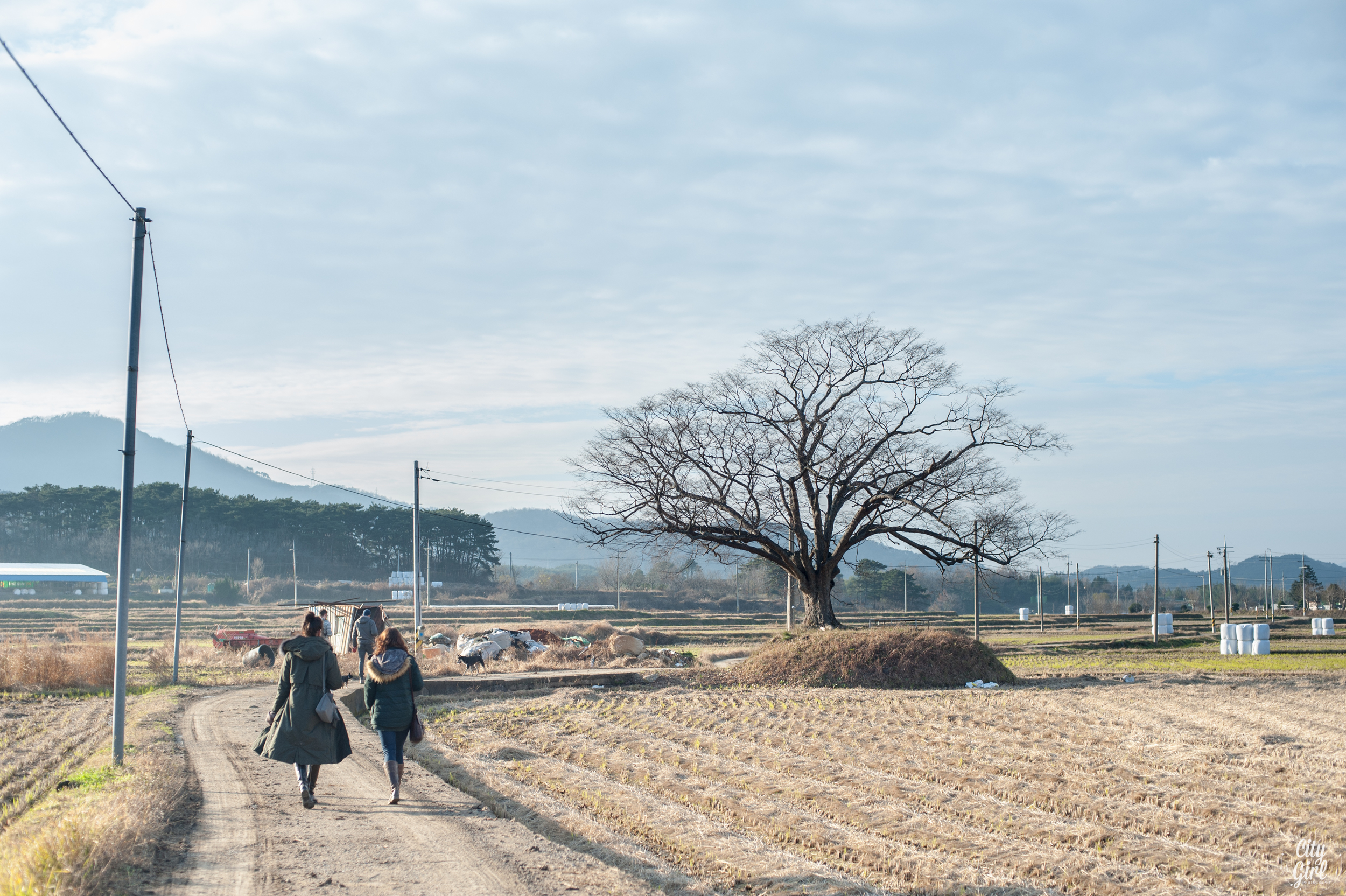 Photographer in Korea City Girl Searching Damyang Gwangju Korea-20.jpg