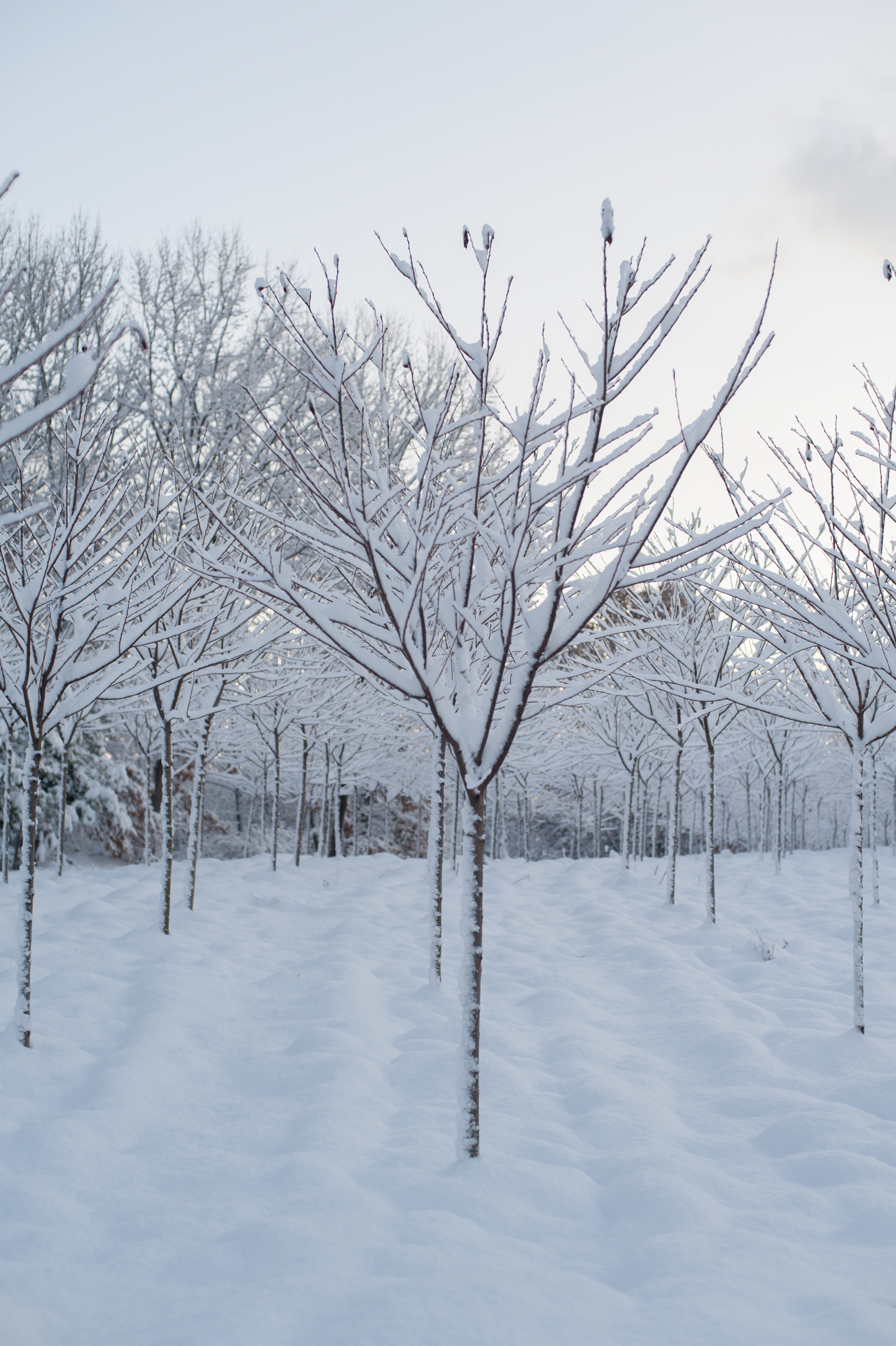 Winter in Korea Buan Snow (26 of 187).jpg