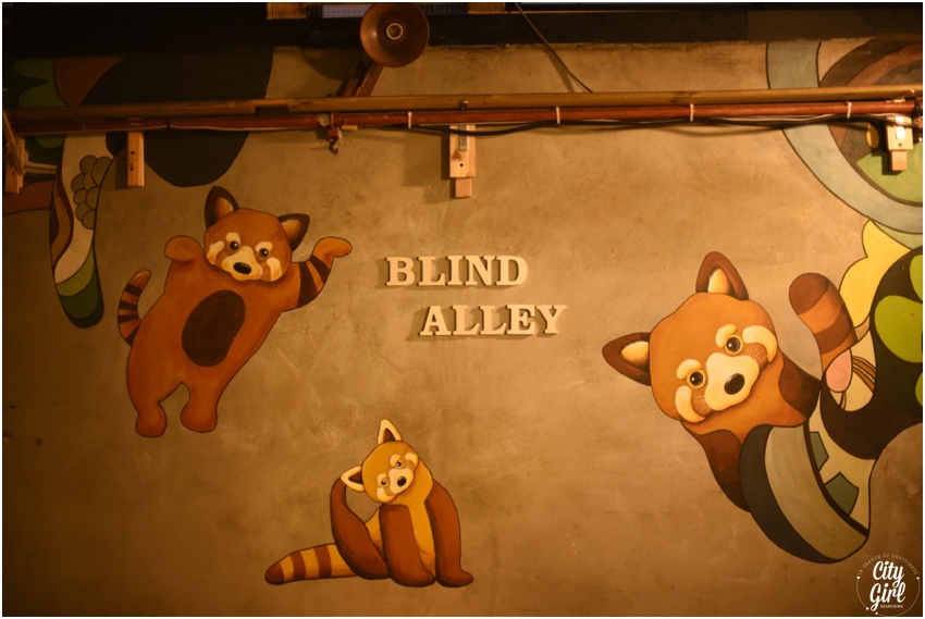 Blind Alley Racoon Cafe Seoul Things to do in Seoul Korea (26 of 43).jpg