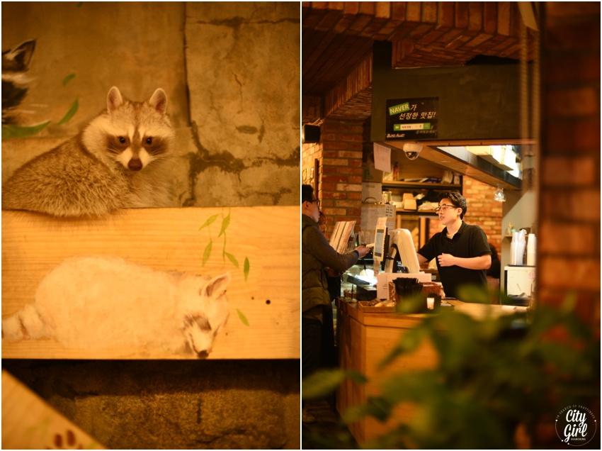 Blind Alley Racoon Cafe Seoul Things to do in Seoul Korea (35 of 43).jpg