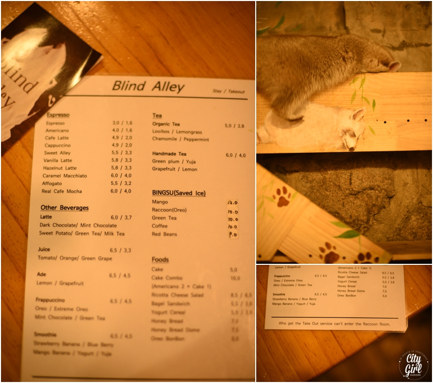 Blind Alley Racoon Cafe Seoul Things to do in Seoul Korea (38 of 43).jpg